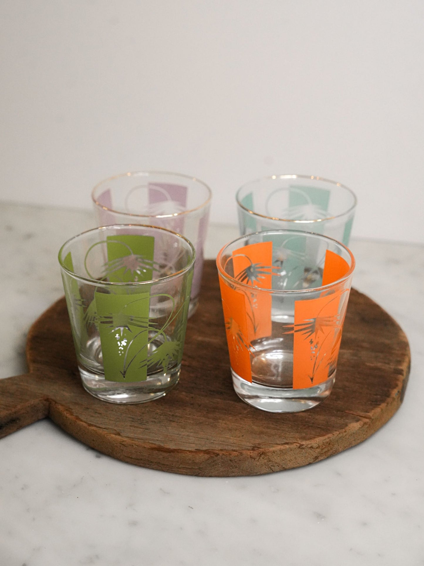 Bartleh Mid-Century Multi Colored Glass Tumblers (Set of 5)